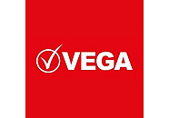 Grupo Vega